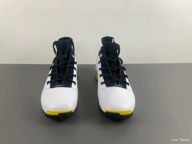 Kick Theory FJ0395-100 Jordan 17 Lightning Low Air 0505